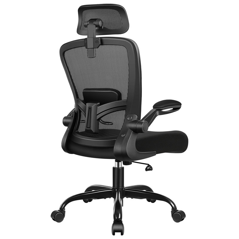 Inbox Zero Everdene Office Ergonomic Task Chair & Reviews | Wayfair
